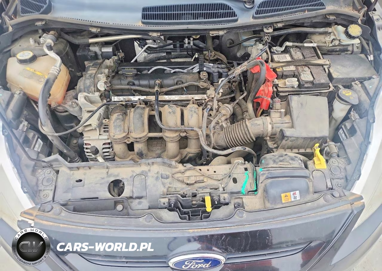 2013 Ford Fiesta Se VIN:3FADP4EJ1DM199123 - 11