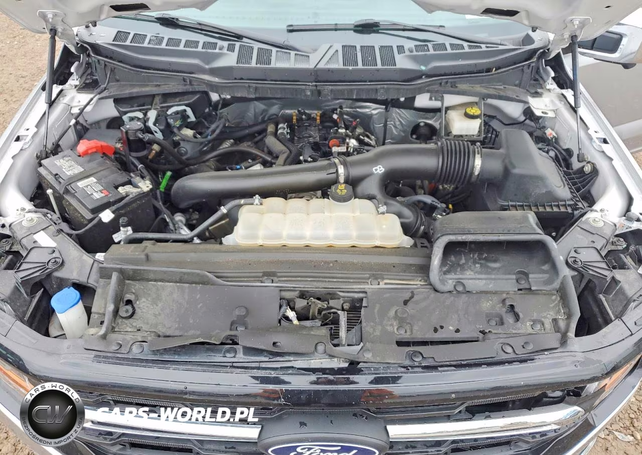 2024 Ford F150 Xlt VIN:1FTFW3L84RFA57016 - 11