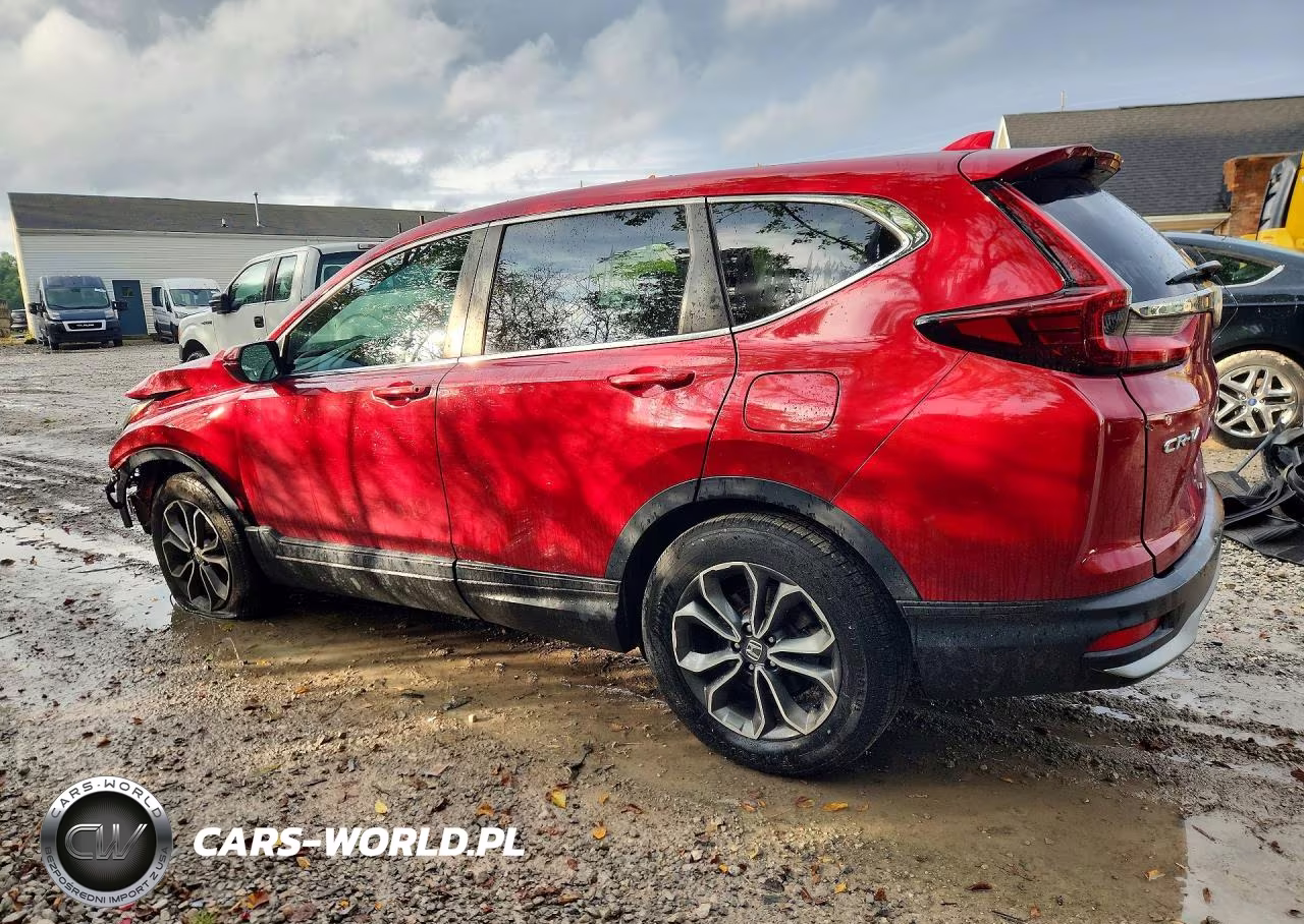 2022 Honda Cr-V Exl VIN:7FARW2H87NE010081 - 2