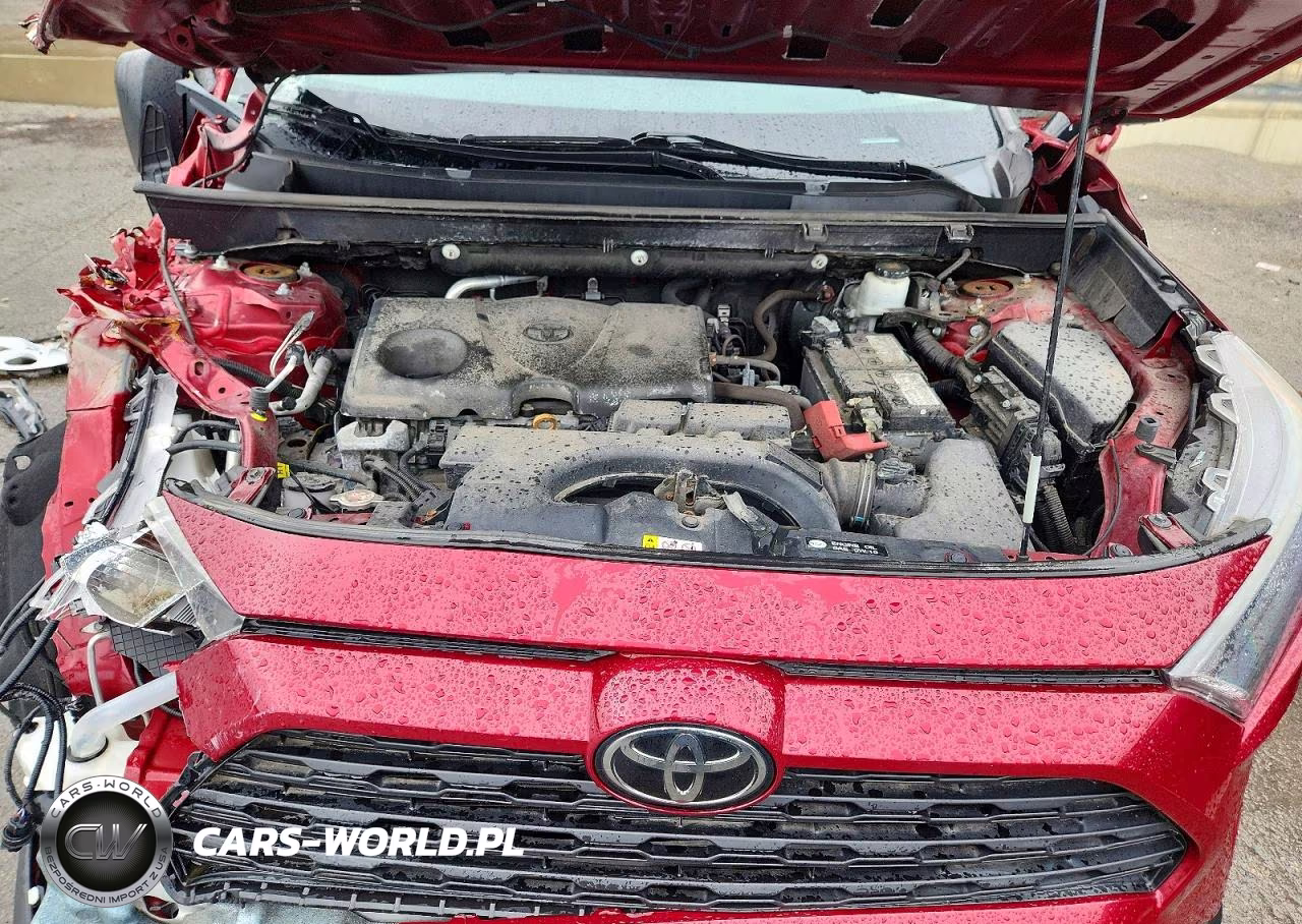 2019 Toyota Rav4 Le VIN:2T3F1RFV4KC050897 - 12