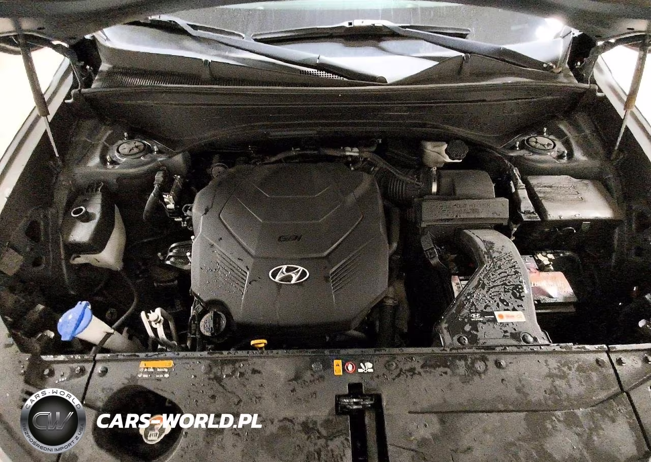 2020 Hyundai Palisade Se VIN:KM8R14HE5LU044077 - 12