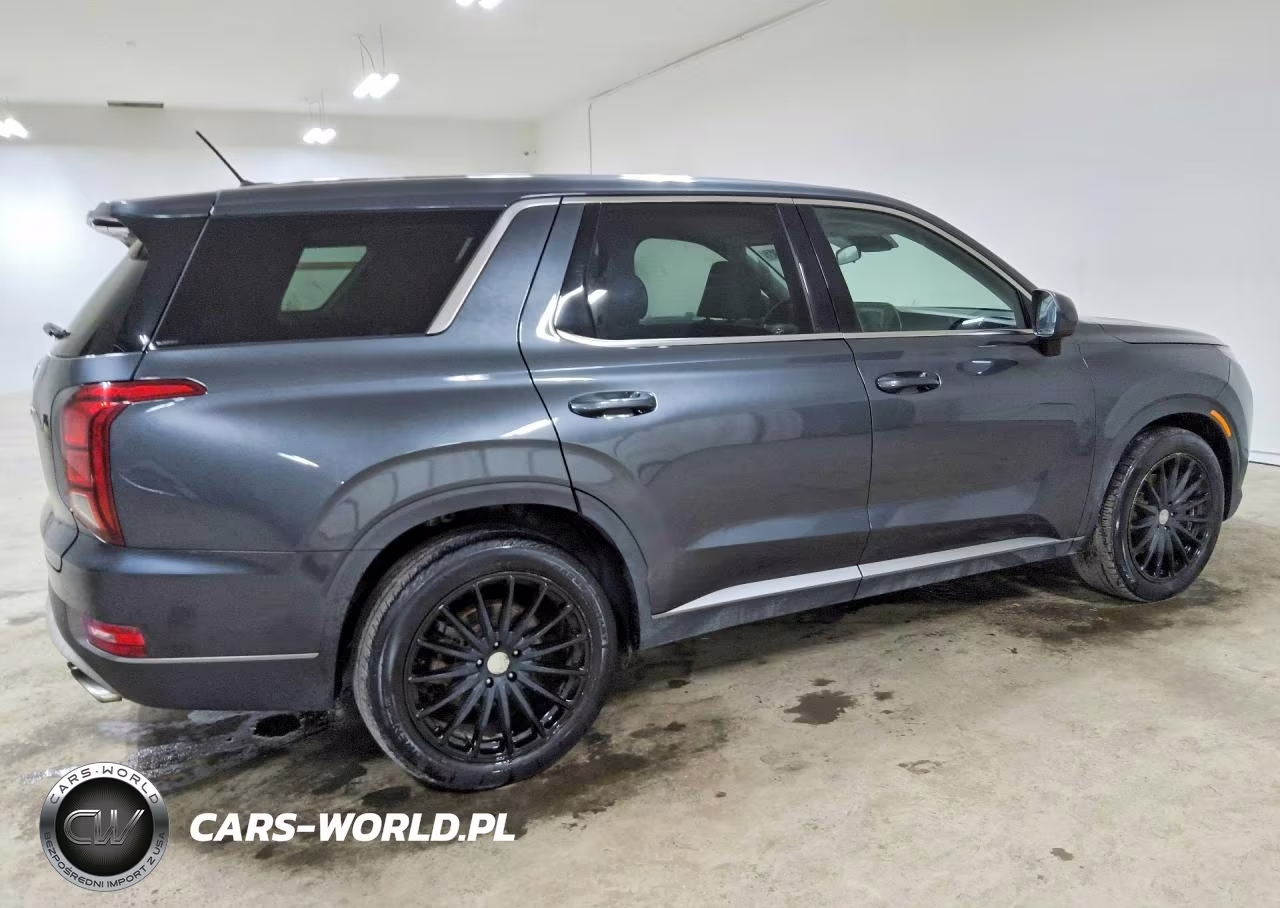 2020 Hyundai Palisade Se VIN:KM8R14HE5LU044077 - 3