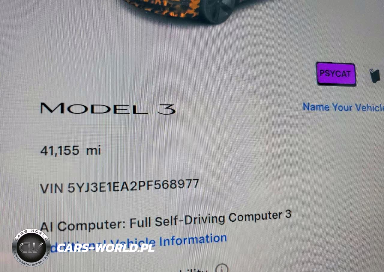 2023 Tesla Model 3 VIN:5YJ3E1EA2PF568977 - 9