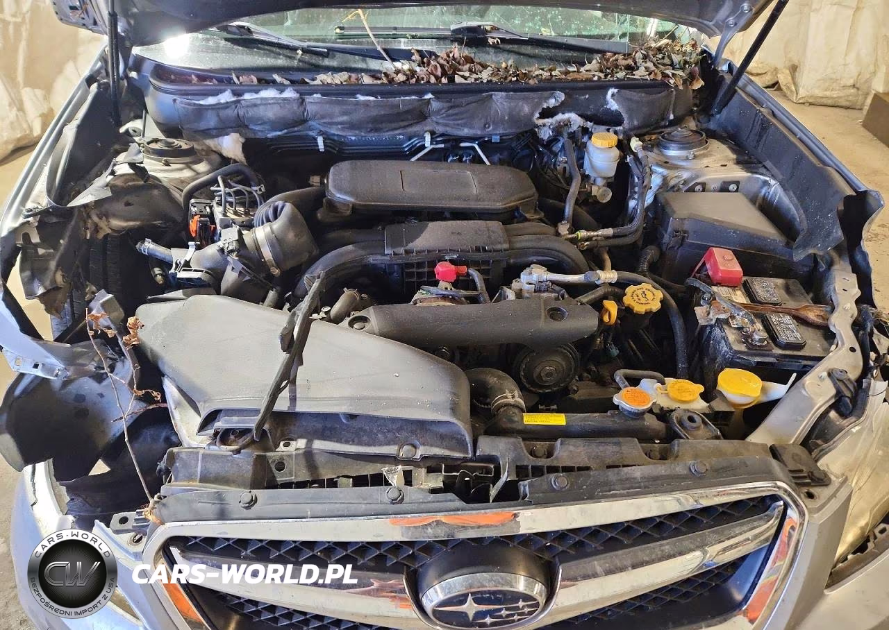 2011 Subaru Legacy 2.5I Premium VIN:4S3BMBG62B3264423 - 11