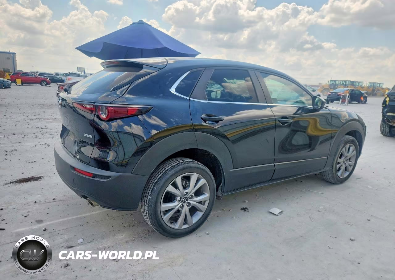 MAZDA CX-30 SELE VIN:3MVDMABL2MM271663 - 3