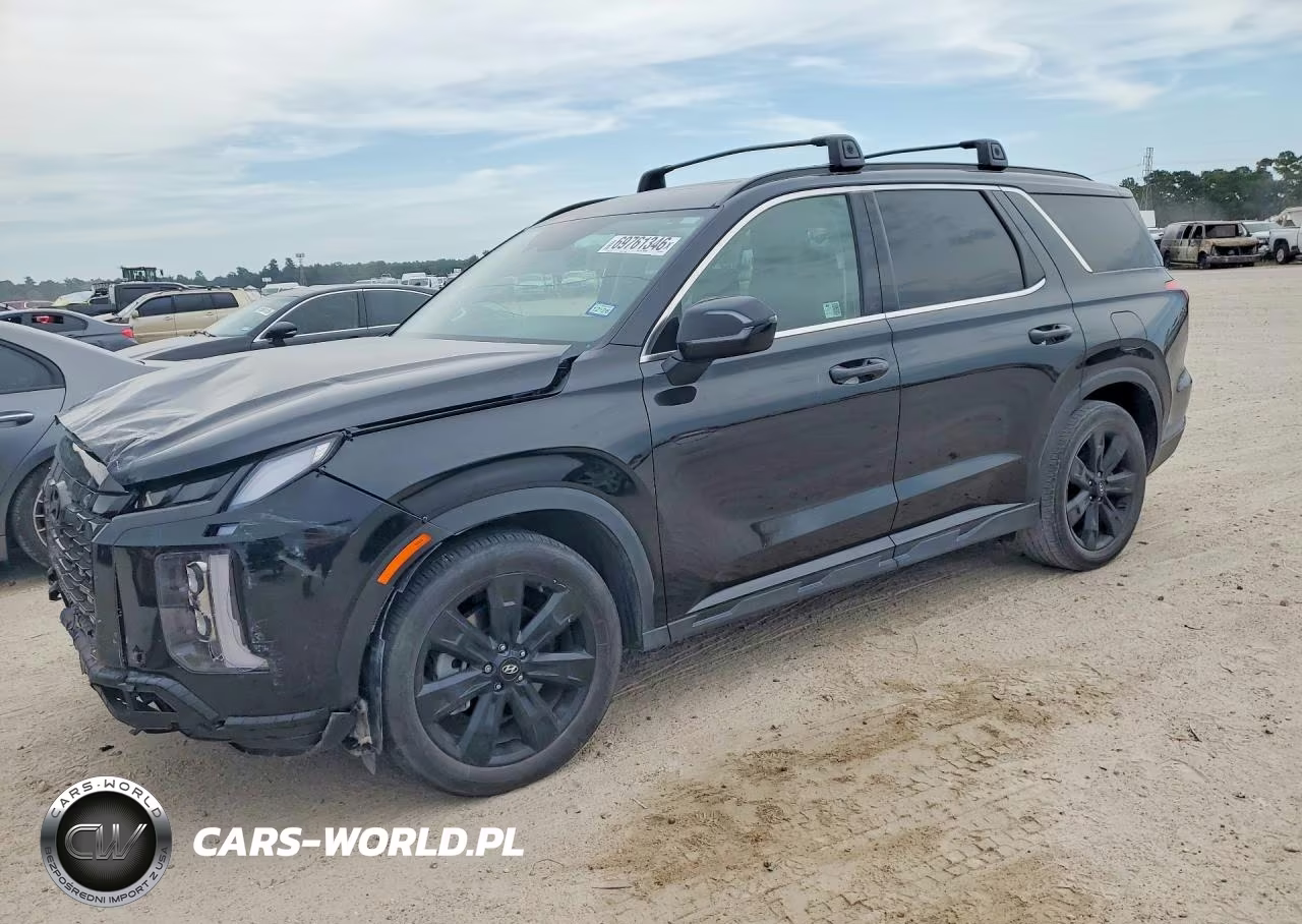 2024 Hyundai Palisade Xrt VIN:KM8R34GE4RU699786 - 1