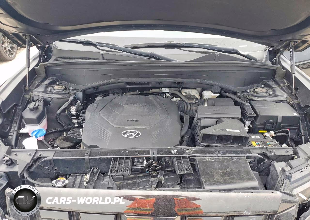 2024 Hyundai Palisade Xrt VIN:KM8R34GE4RU699786 - 12