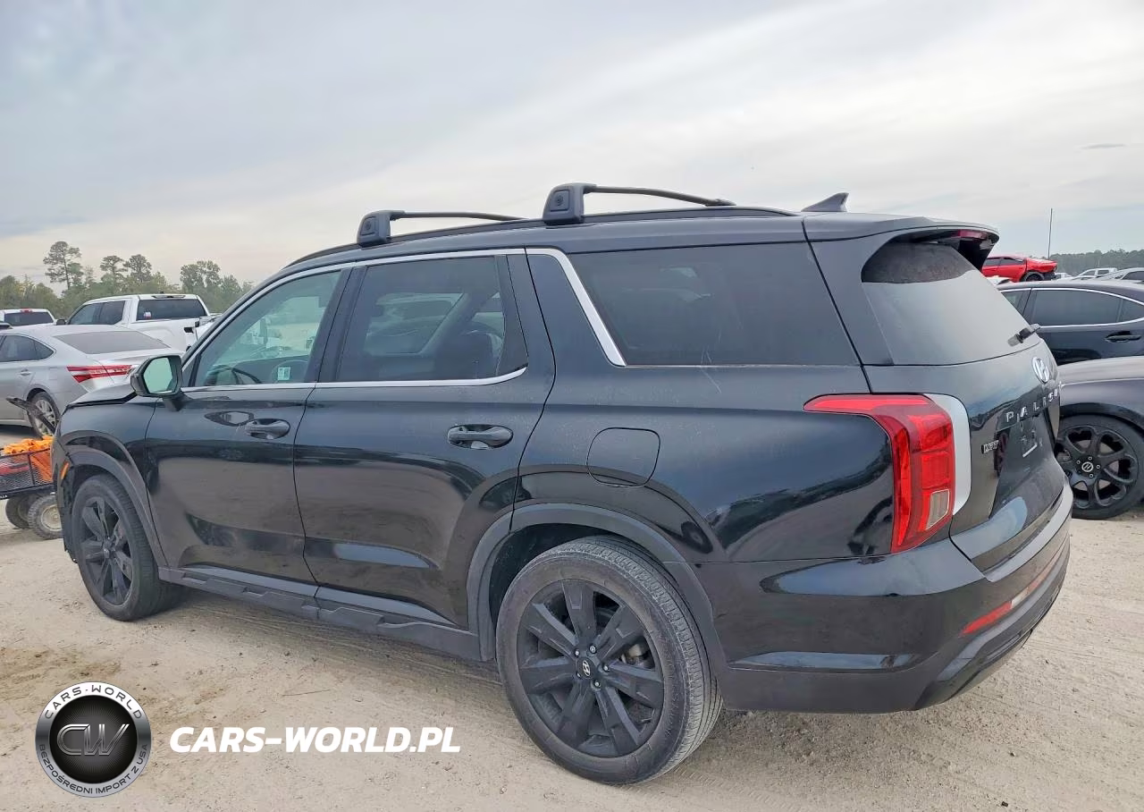 2024 Hyundai Palisade Xrt VIN:KM8R34GE4RU699786 - 2