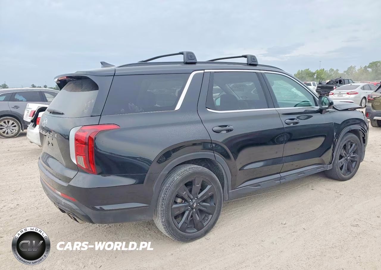 2024 Hyundai Palisade Xrt VIN:KM8R34GE4RU699786 - 3