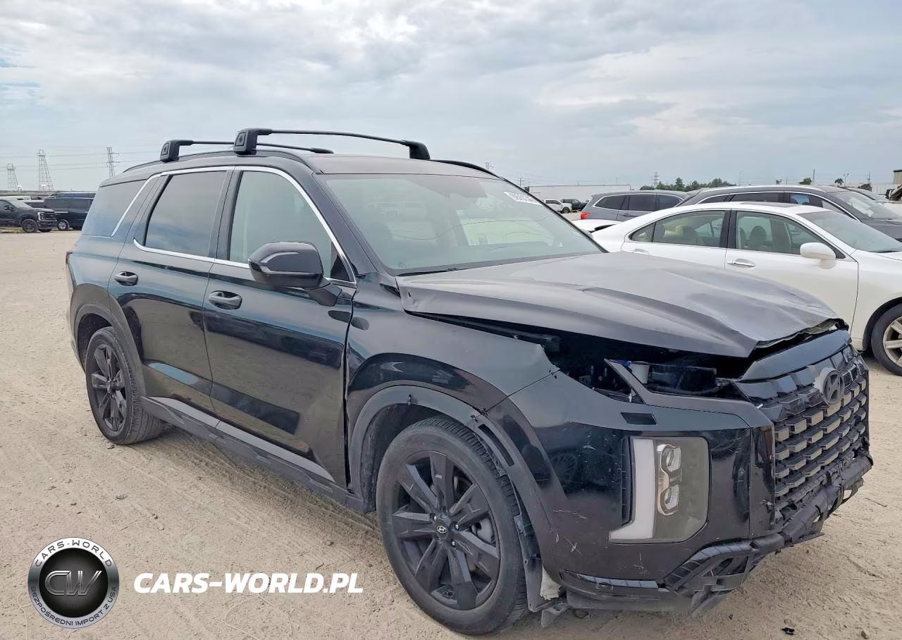 2024 Hyundai Palisade Xrt VIN:KM8R34GE4RU699786 - 4