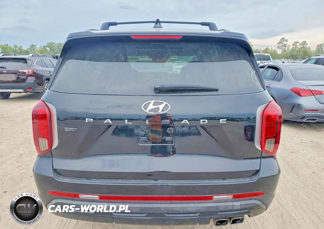 2024 Hyundai Palisade Xrt VIN:KM8R34GE4RU699786 - 6