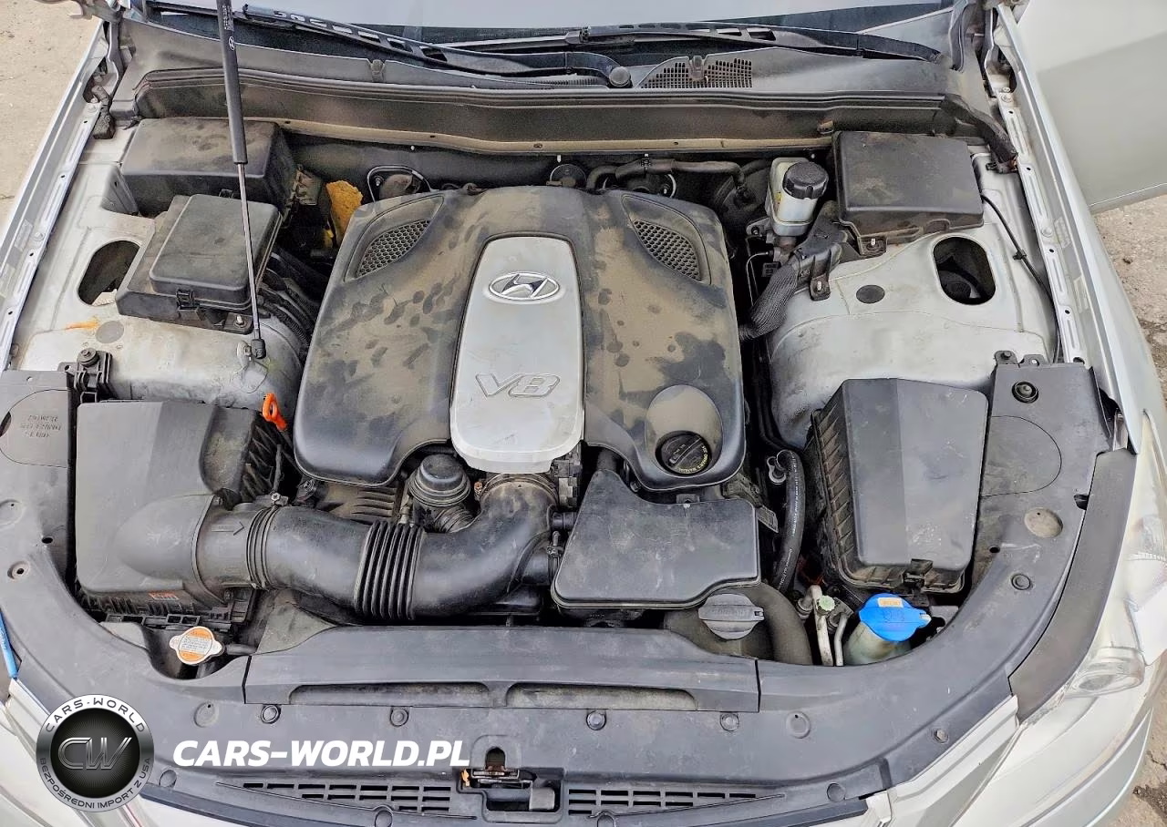2009 Hyundai Genesis 4.6L VIN:KMHGC46F19U051873 - 11