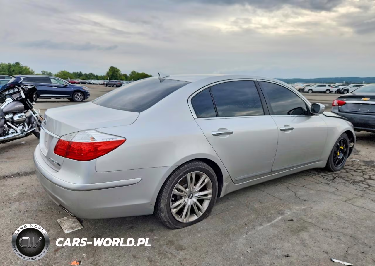2009 Hyundai Genesis 4.6L VIN:KMHGC46F19U051873 - 3