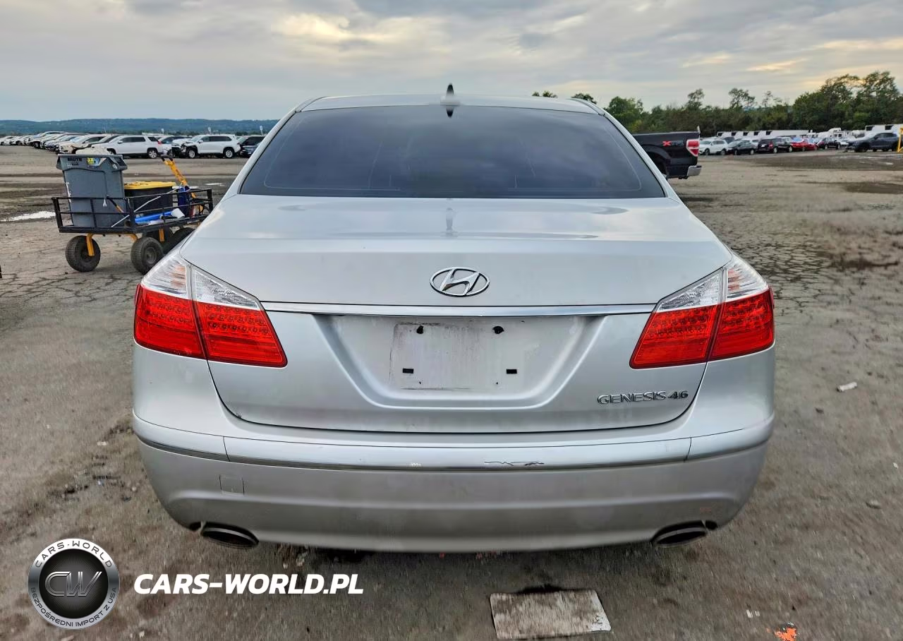 2009 Hyundai Genesis 4.6L VIN:KMHGC46F19U051873 - 6