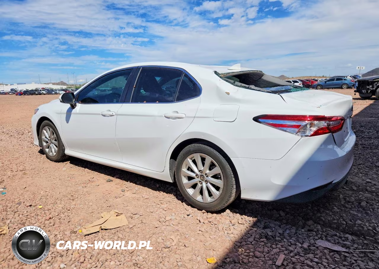 2020 Toyota Camry Le VIN:4T1C11AK1LU505022 - 2