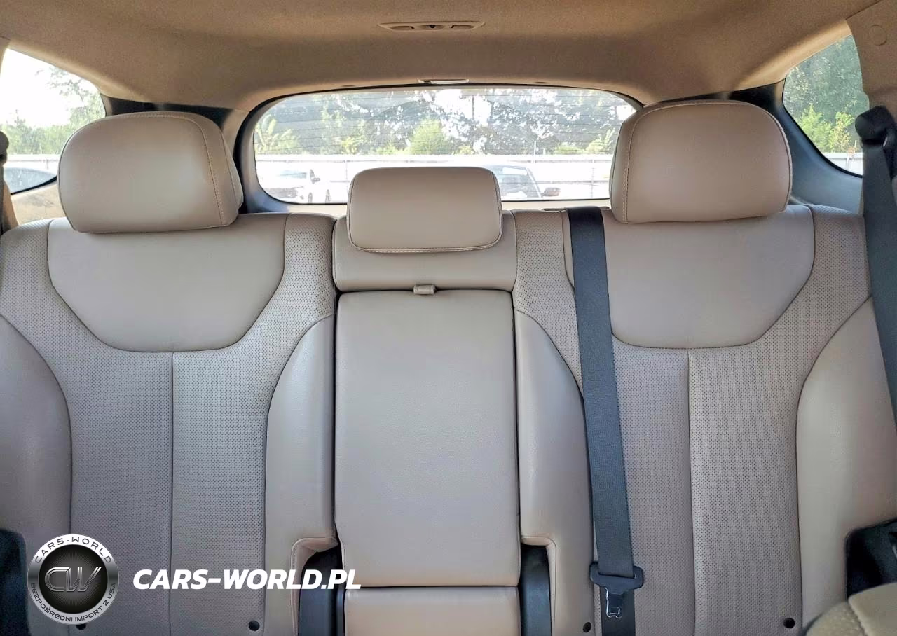 2019 Hyundai Santa Fe Limited 2.4L VIN:5NMS53AD6KH028224 - 10