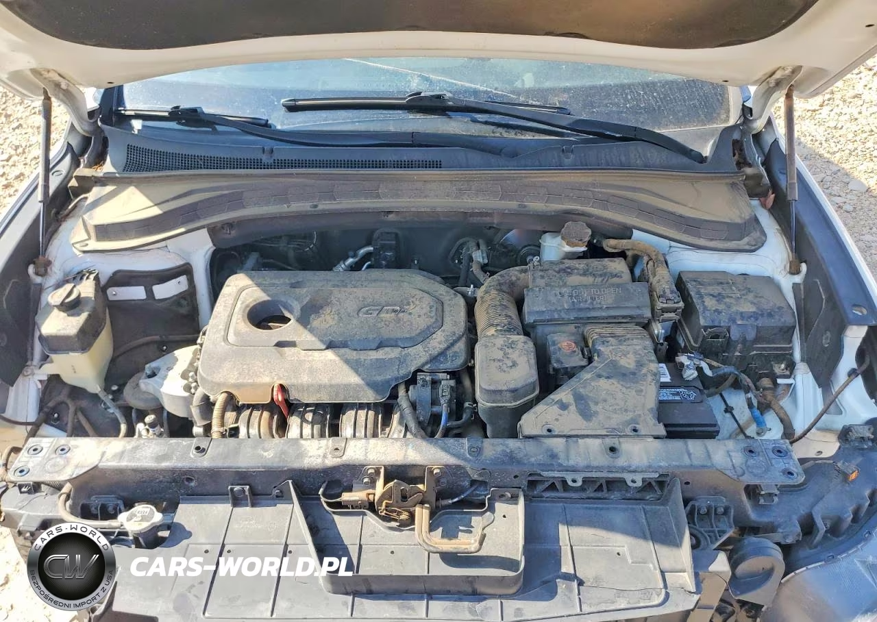 2019 Hyundai Santa Fe Limited 2.4L VIN:5NMS53AD6KH028224 - 12