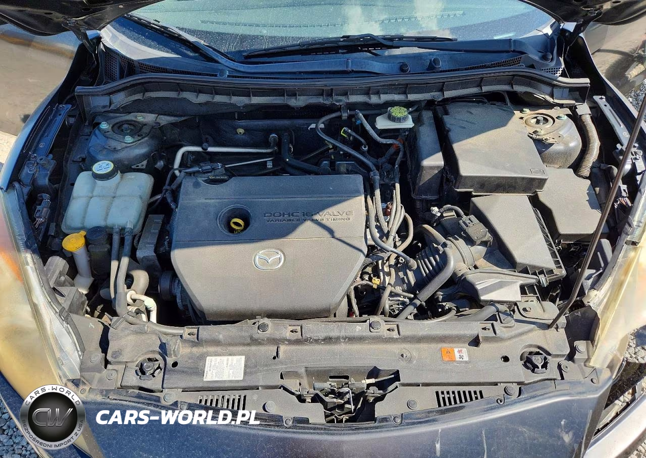 2010 Mazda 3 I VIN:JM1BL1SF1A1161556 - 11