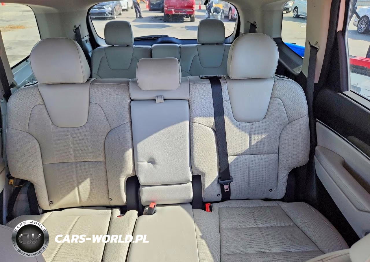 2020 Kia Telluride Ex VIN:5XYP34HCXLG010979 - 10