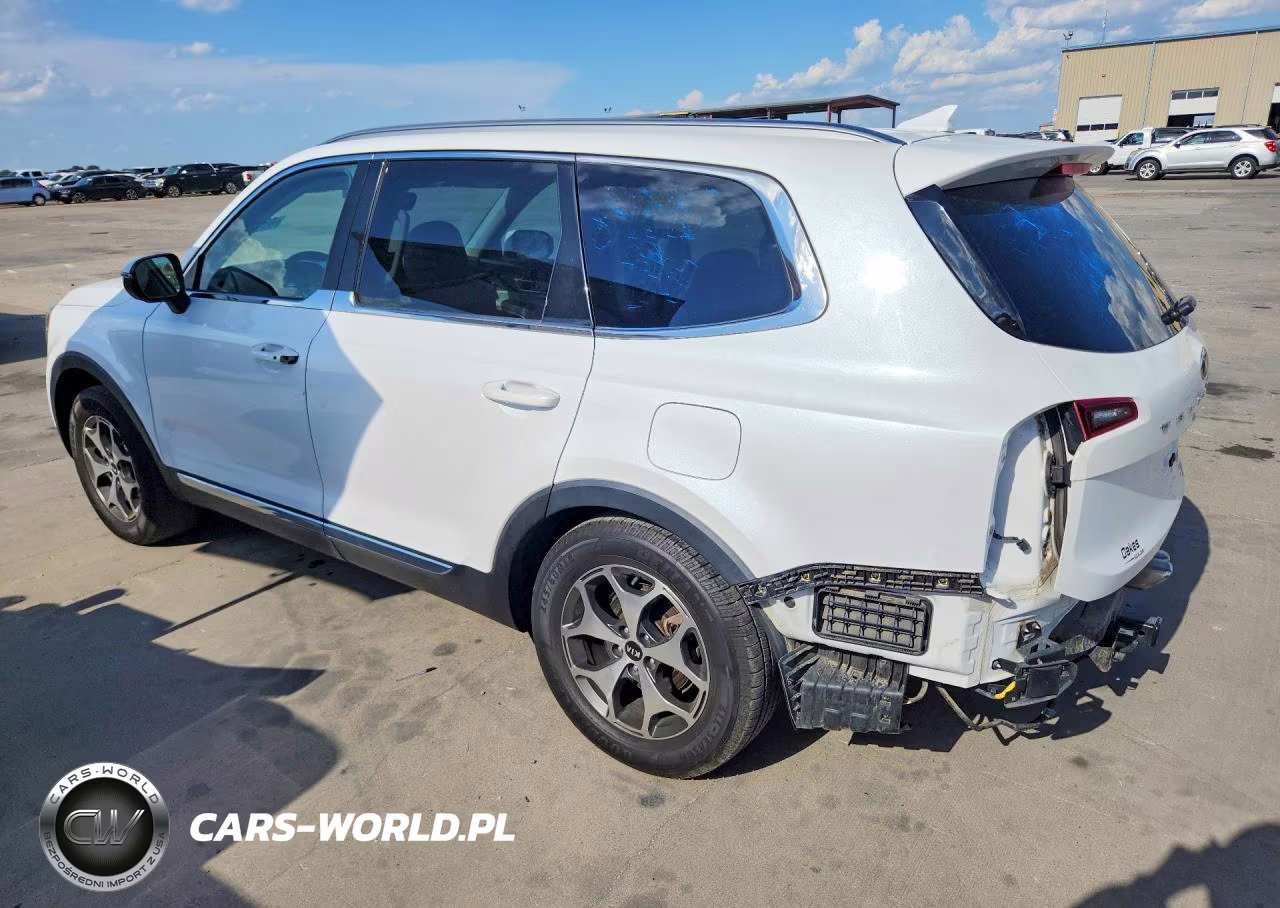 2020 Kia Telluride Ex VIN:5XYP34HCXLG010979 - 2