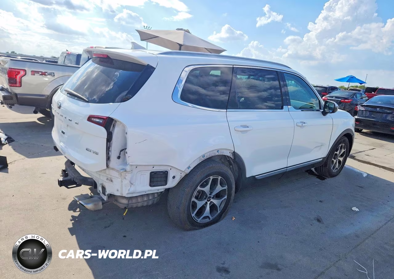 2020 Kia Telluride Ex VIN:5XYP34HCXLG010979 - 3