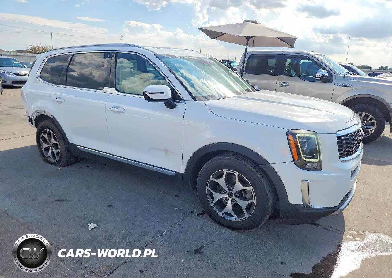 2020 Kia Telluride Ex VIN:5XYP34HCXLG010979 - 4