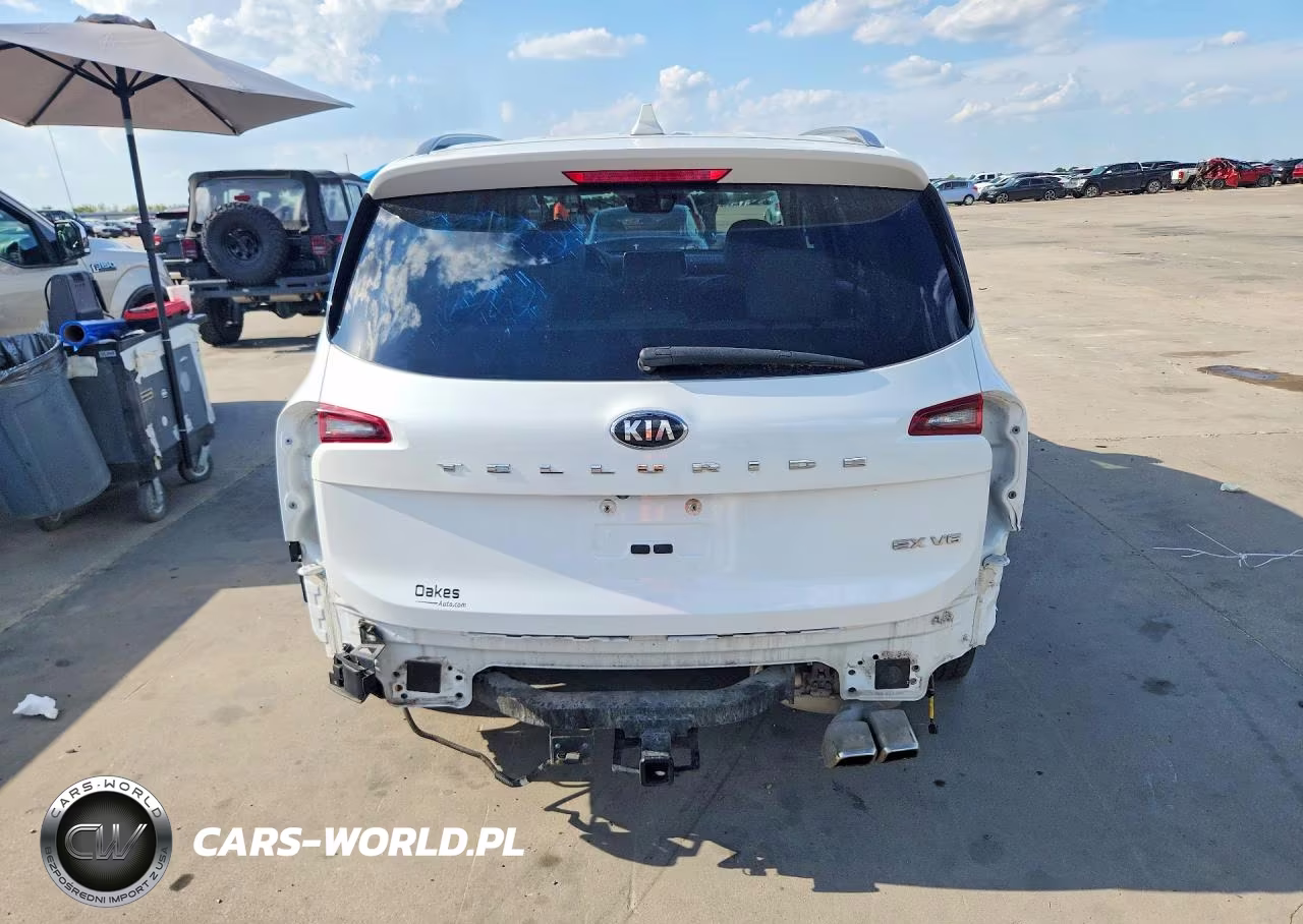 2020 Kia Telluride Ex VIN:5XYP34HCXLG010979 - 6