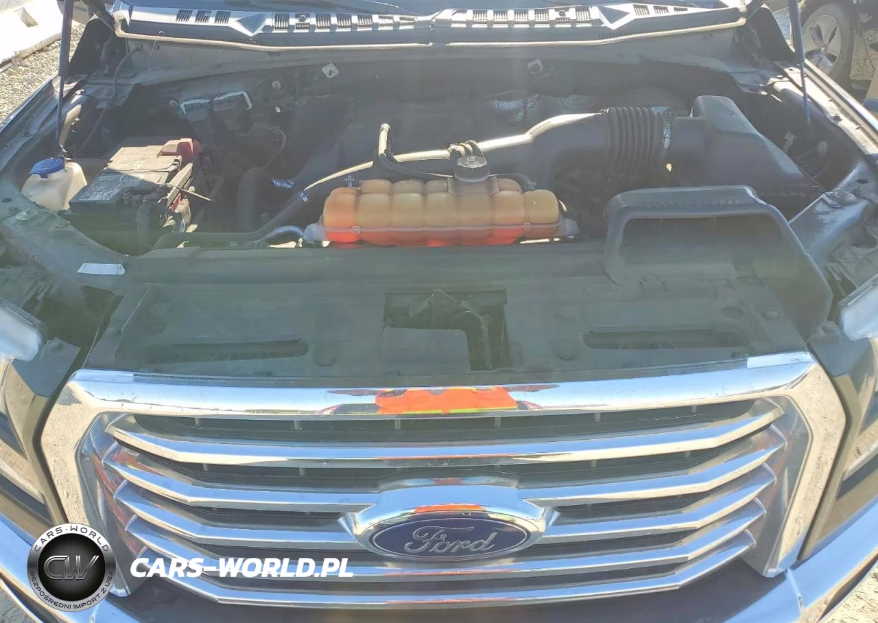 2016 Ford F150 Supercrew VIN:1FTEW1CP0GKD78479 - 11