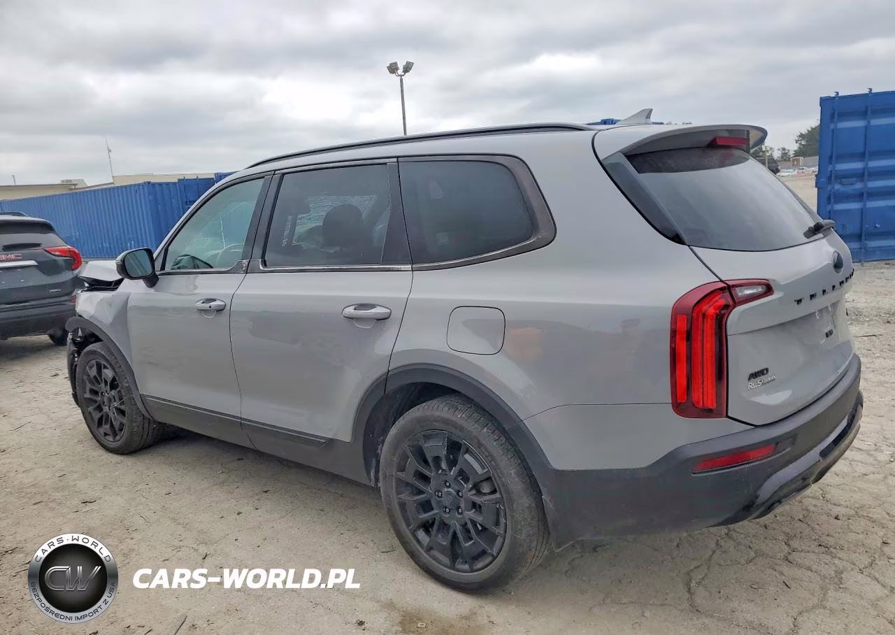 2021 Kia Telluride Ex VIN:5XYP3DHCXMG146742 - 2