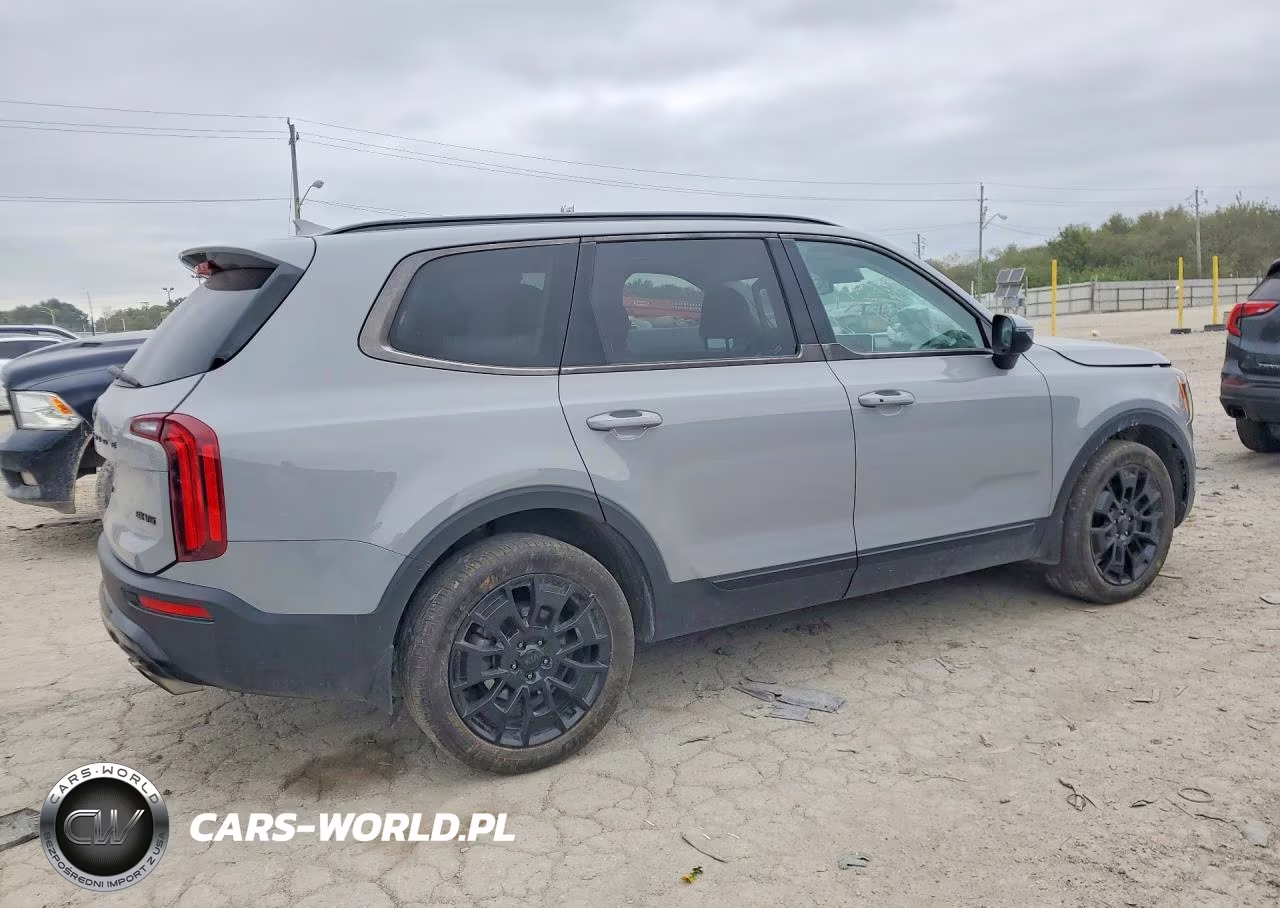 2021 Kia Telluride Ex VIN:5XYP3DHCXMG146742 - 3