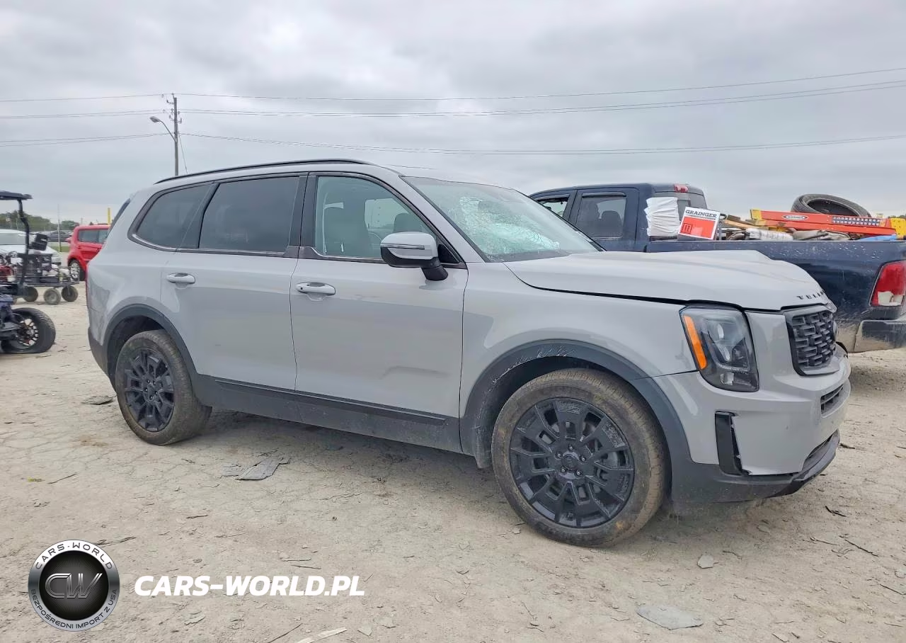 2021 Kia Telluride Ex VIN:5XYP3DHCXMG146742 - 4