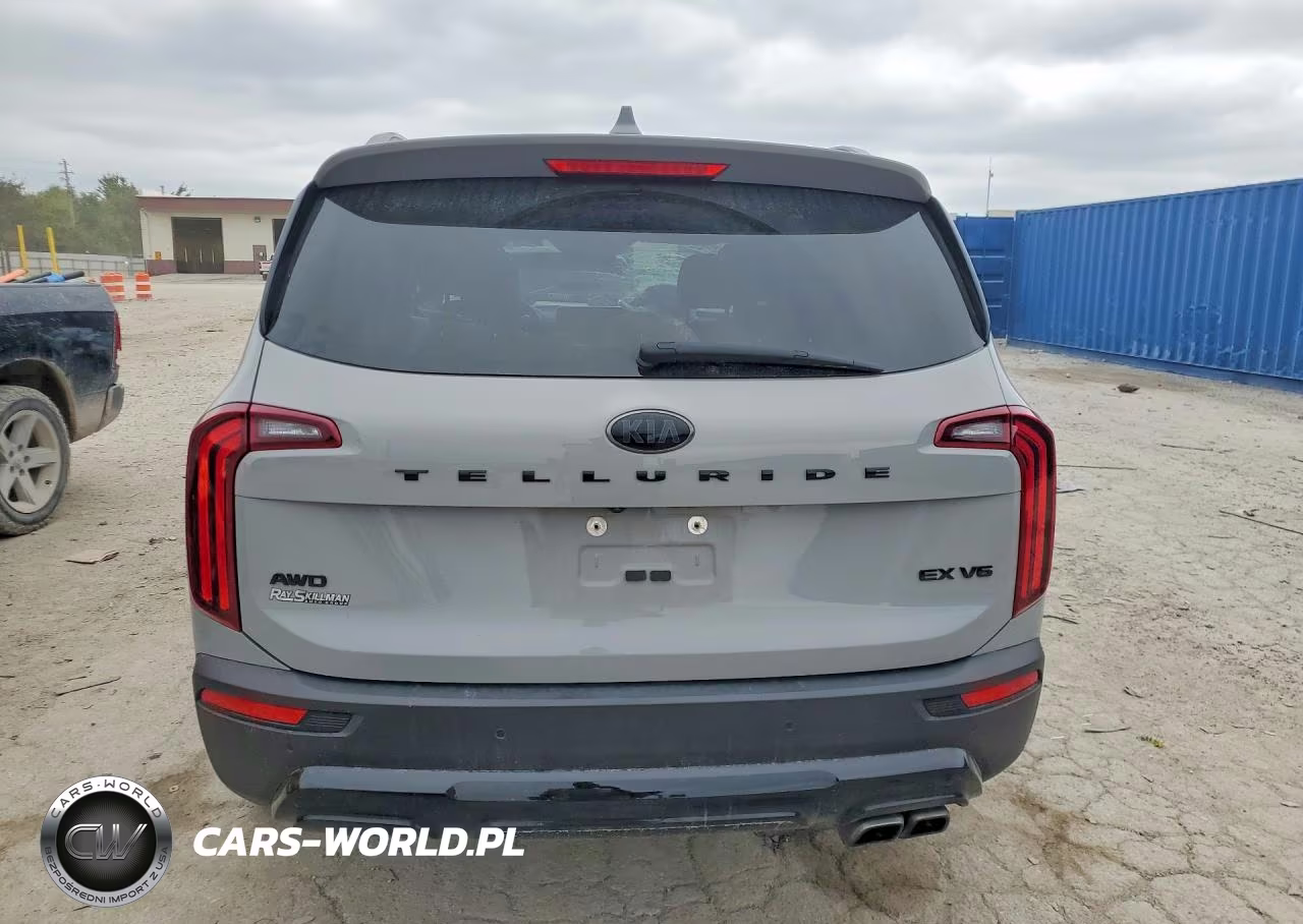 2021 Kia Telluride Ex VIN:5XYP3DHCXMG146742 - 6