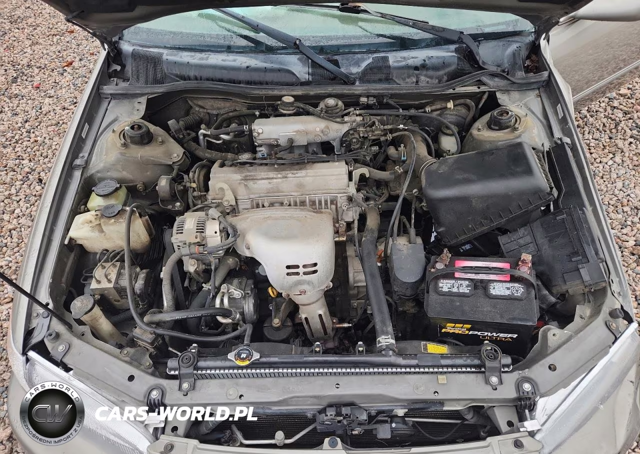 1998 Toyota Camry Le VIN:4T1BG22K4WU273115 - 11