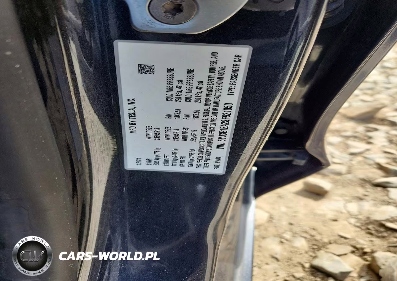 2025 Tesla Model 3 VIN:5YJ3E1EA2SF921050 - 12