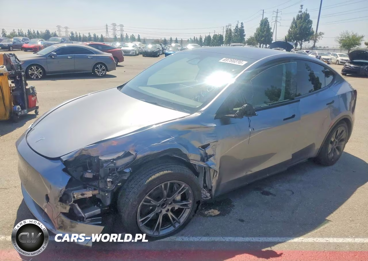 2025 Tesla Model Y VIN:7SAYGDEDXSF315929 - 1