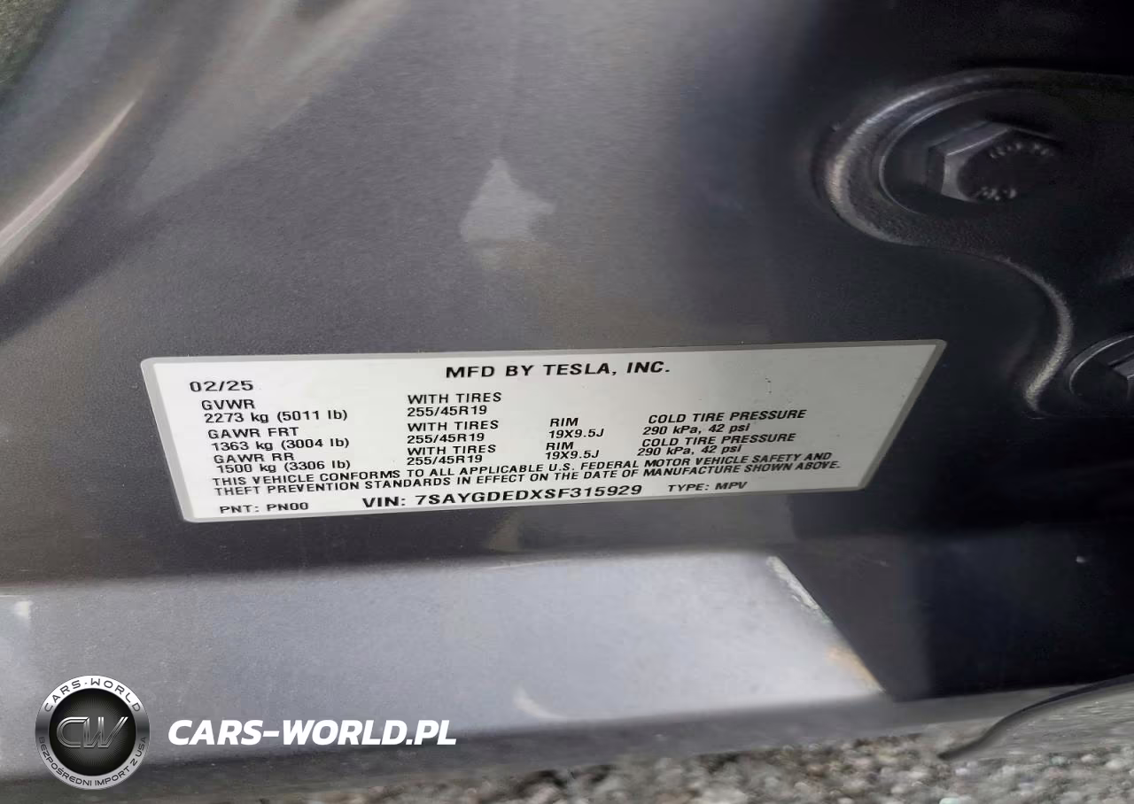 2025 Tesla Model Y VIN:7SAYGDEDXSF315929 - 12