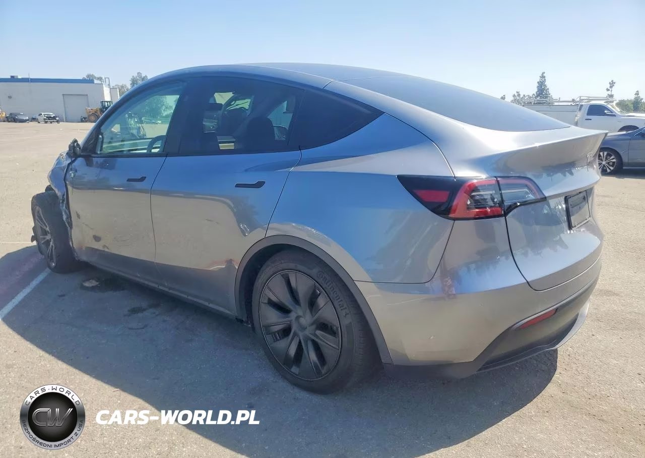 2025 Tesla Model Y VIN:7SAYGDEDXSF315929 - 2