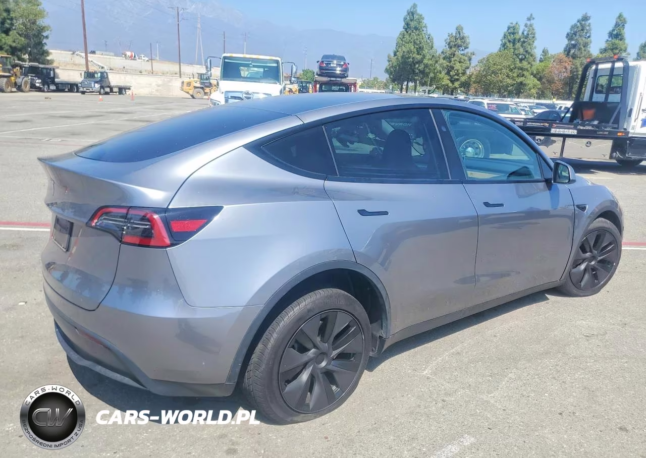 2025 Tesla Model Y VIN:7SAYGDEDXSF315929 - 3