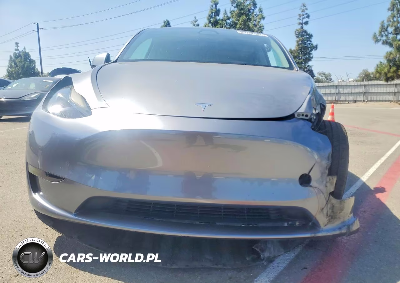 2025 Tesla Model Y VIN:7SAYGDEDXSF315929 - 5