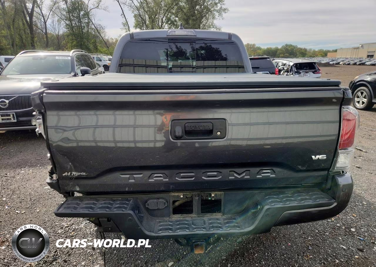 2020 Toyota Tacoma Trd Sport VIN:3TMCZ5AN9LM364316 - 6