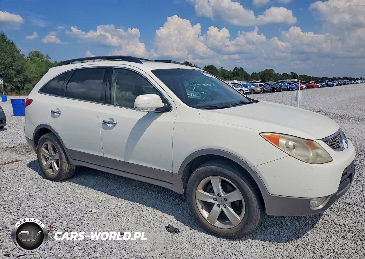 2010 Hyundai Veracruz Limited VIN:KM8NU4CC1AU137560 - 4