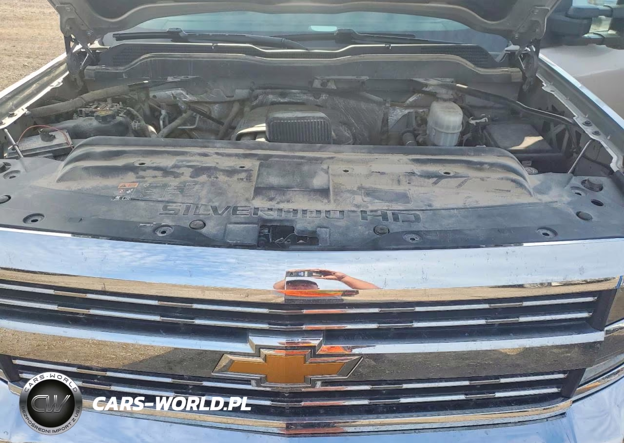 2018 Chevrolet Silverado K2500 Heavy Duty Lt VIN:1GC1KVEG5JF206303 - 11