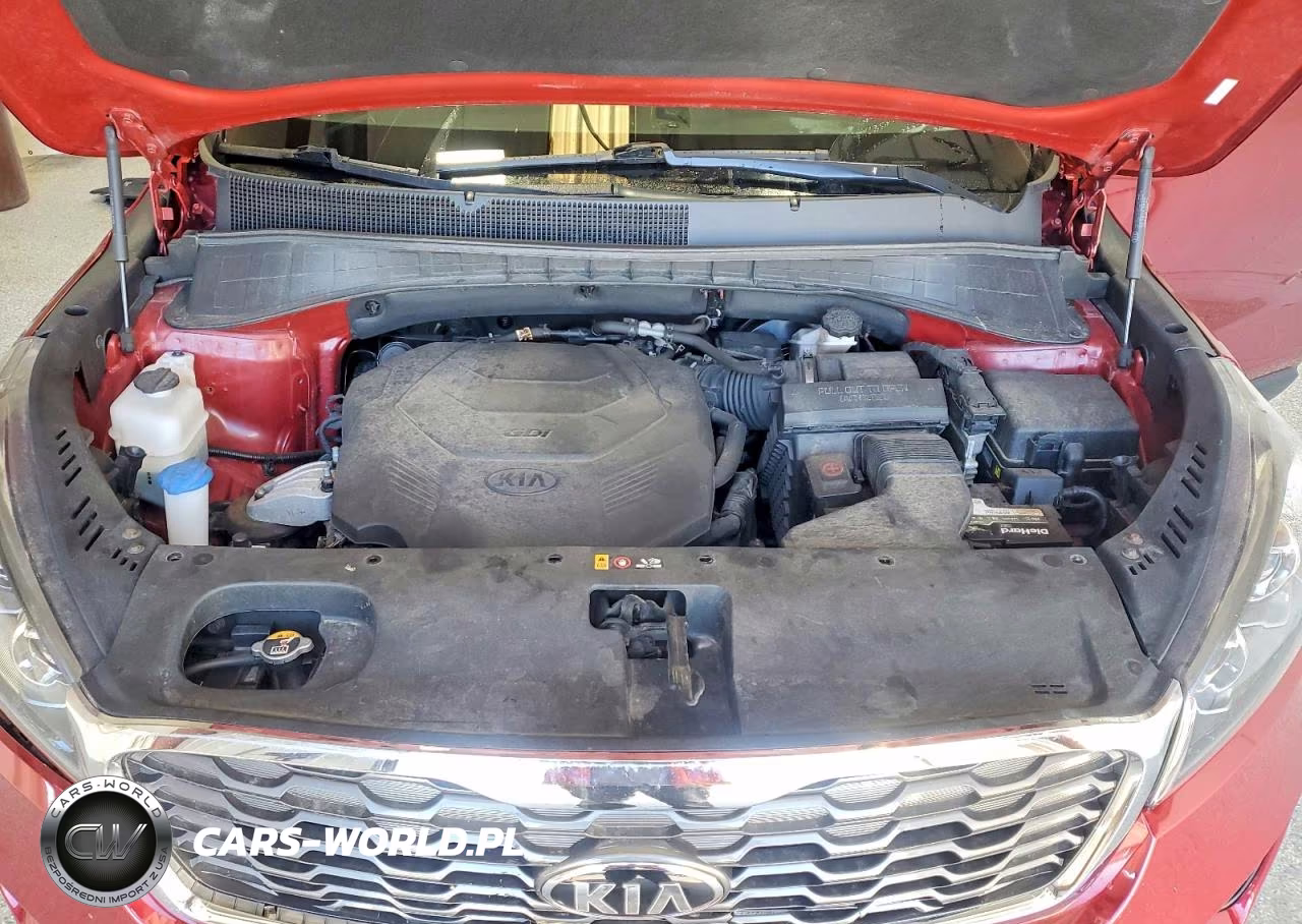 2019 Kia Sorento Ex V6 VIN:5XYPHDA57KG531332 - 12