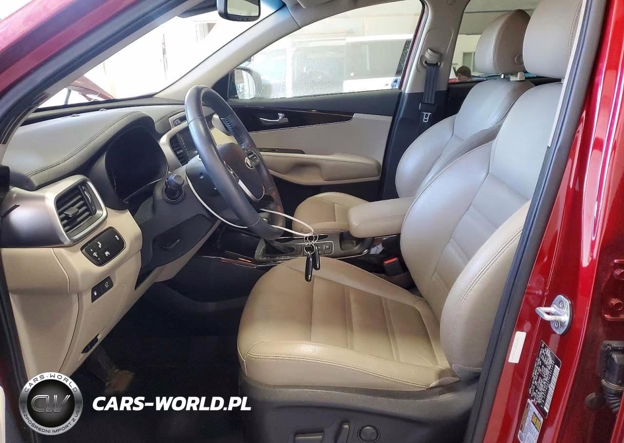 2019 Kia Sorento Ex V6 VIN:5XYPHDA57KG531332 - 7