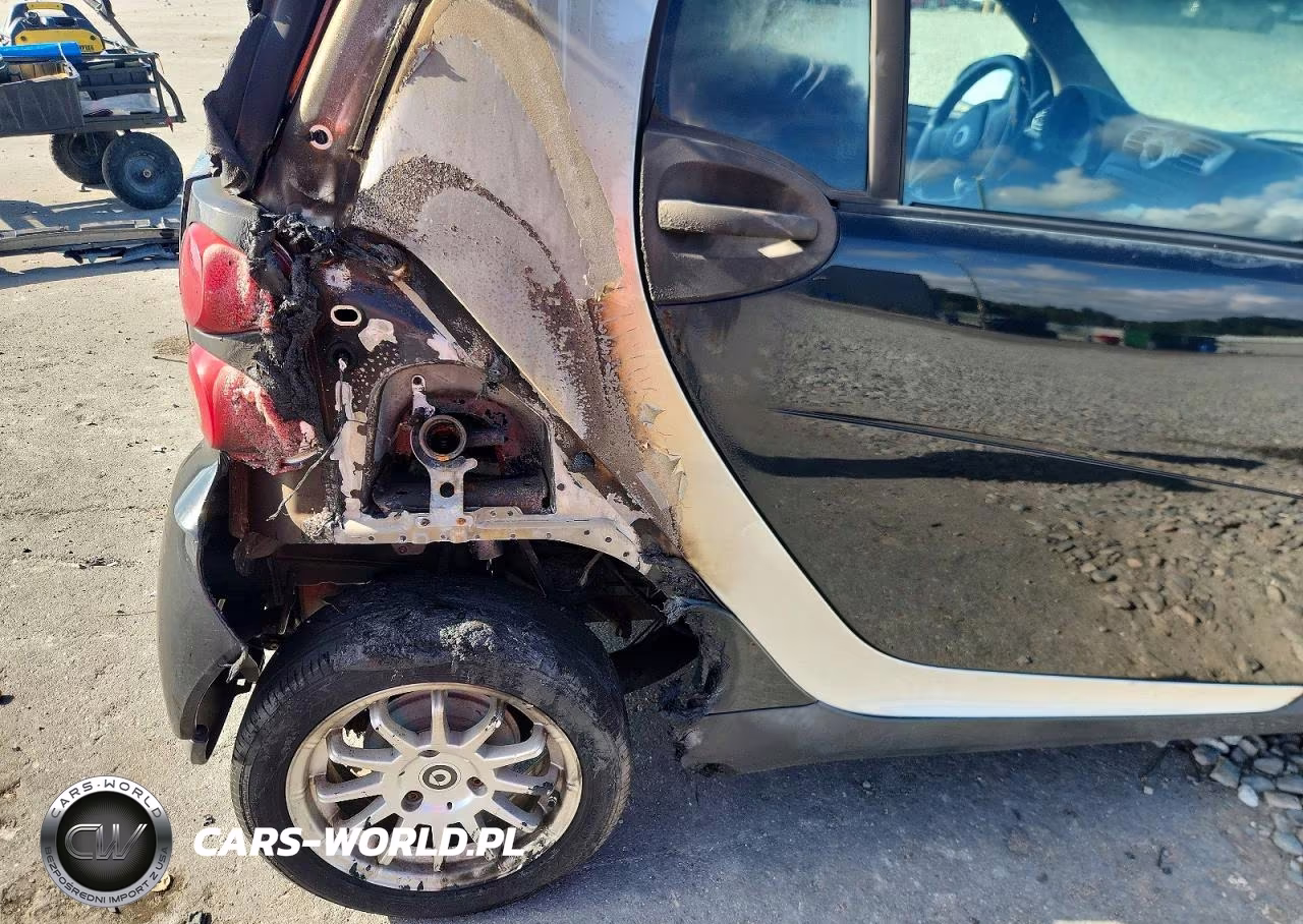 2009 Smart Fortwo Pure VIN:WMEEJ31X79K316479 - 10