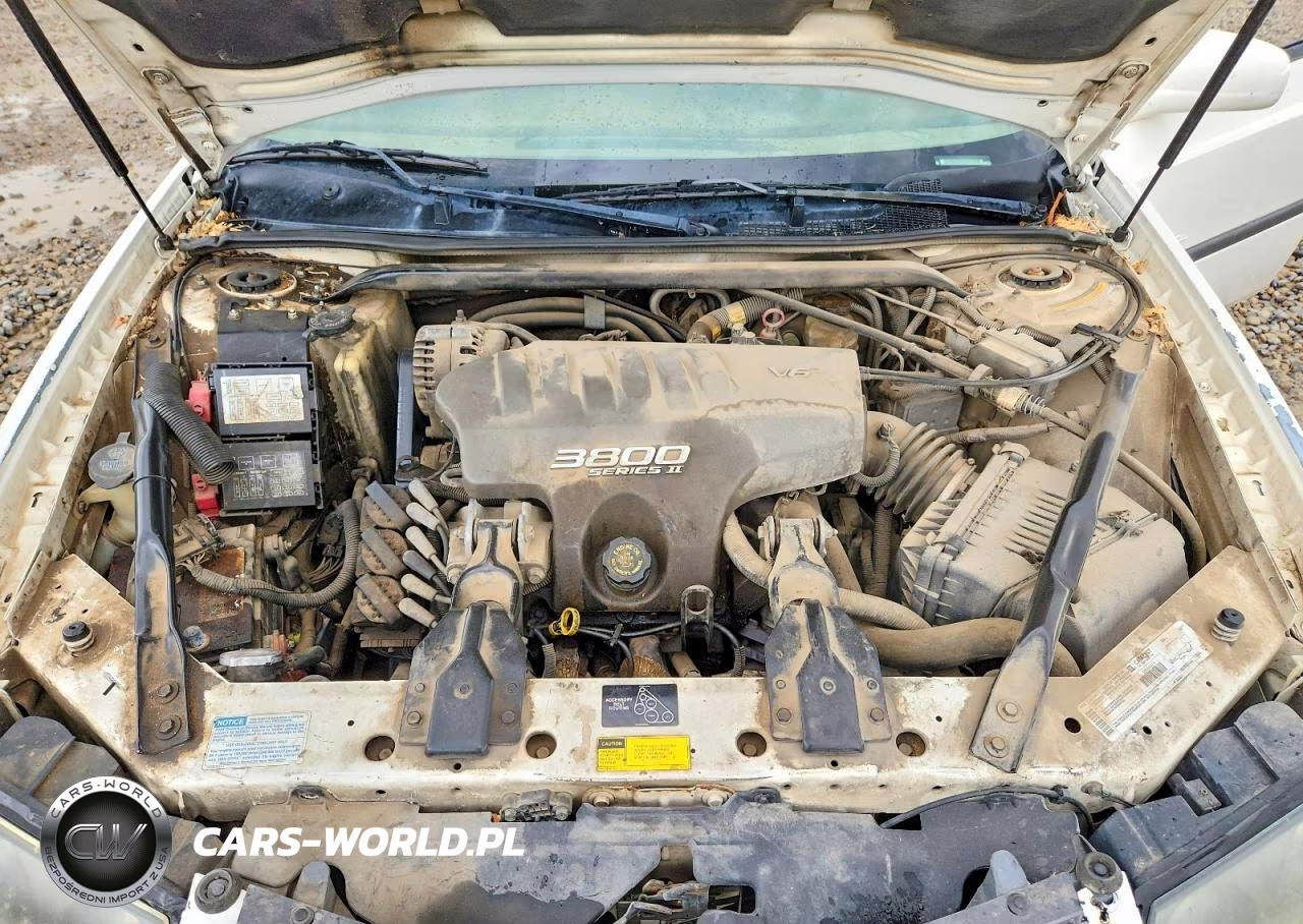 2001 Chevrolet Impala Ls VIN:2G1WH55K819169497 - 11