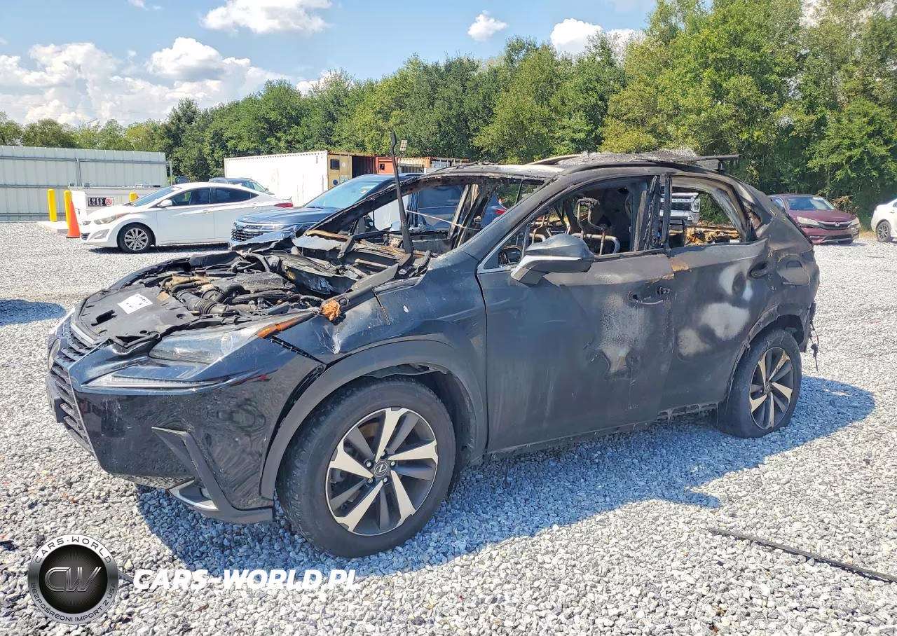 2018 Lexus Nx300 VIN:JTJYARBZ4J2086867 - 1