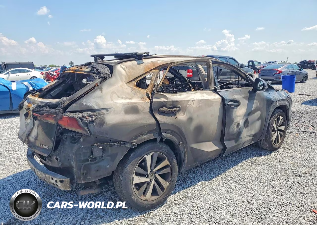 2018 Lexus Nx300 VIN:JTJYARBZ4J2086867 - 3