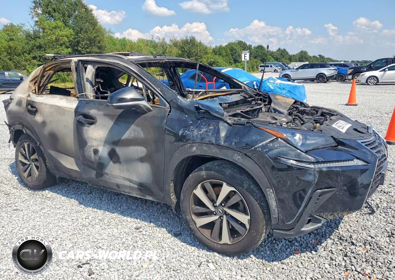 2018 Lexus Nx300 VIN:JTJYARBZ4J2086867 - 4