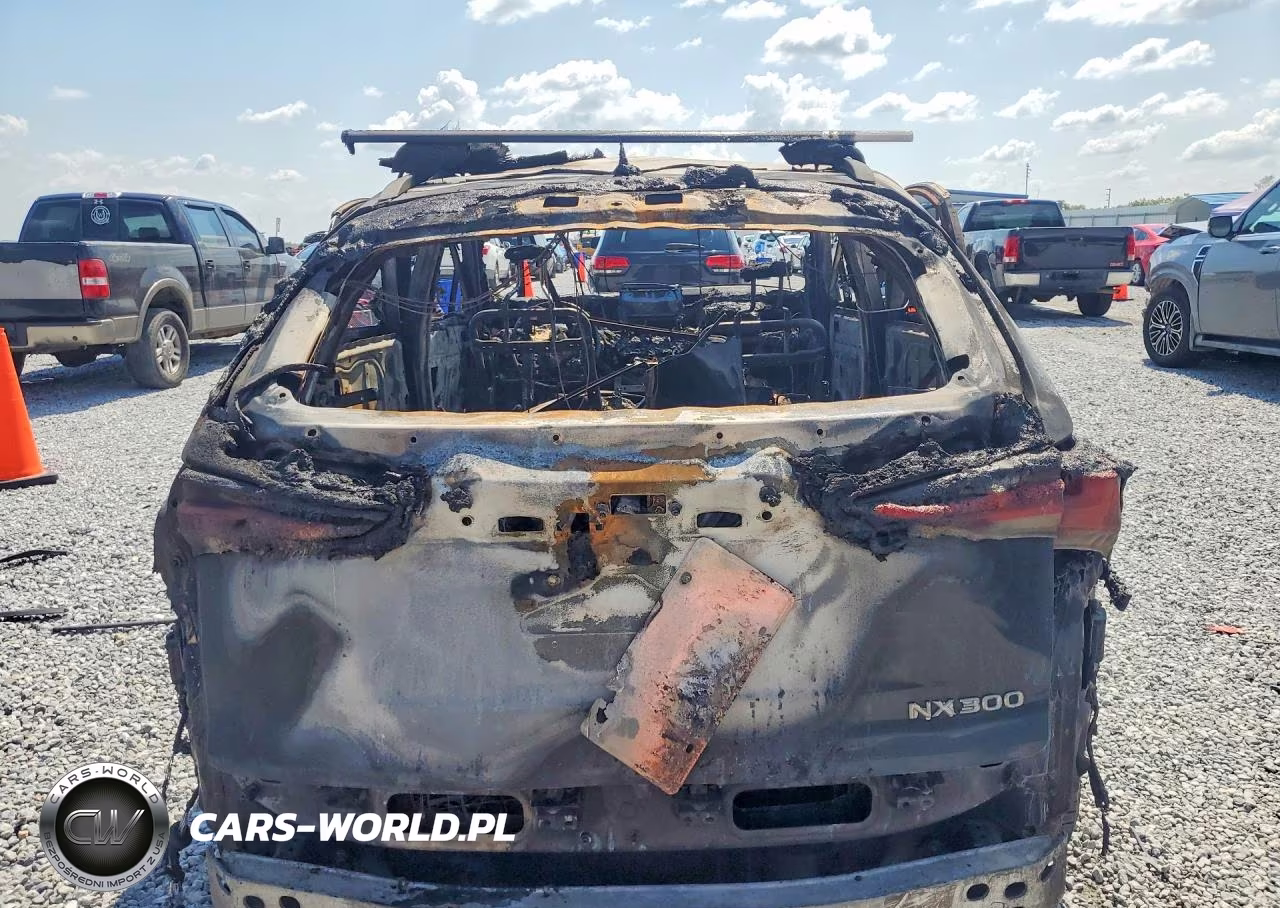 2018 Lexus Nx300 VIN:JTJYARBZ4J2086867 - 6
